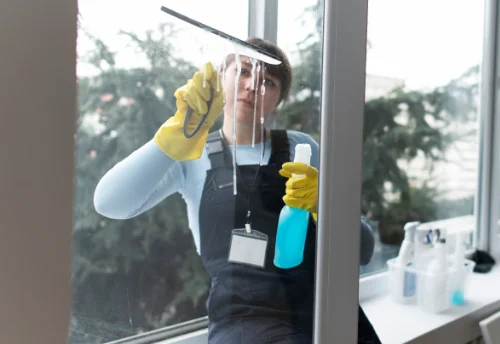 Nettoyage de vitres intérieures et extérieures à Luthenay-Uxeloup